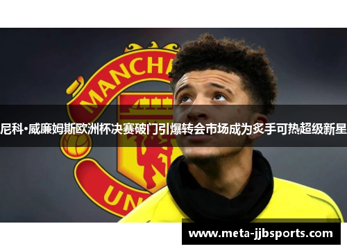 尼科·威廉姆斯欧洲杯决赛破门引爆转会市场成为炙手可热超级新星 尼科·威廉姆斯欧洲杯决赛破门引爆转会市场成为炙手可热超级新星